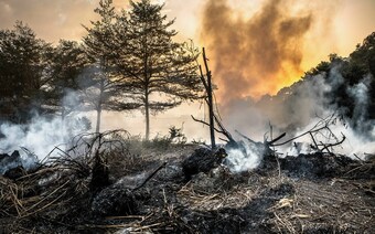 Оценка ущерба после стихийного бедствия в Перми: отчет оценщика